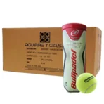 CAJA DE 24 TUBOS PELOTAS PREMIUM PRO X3